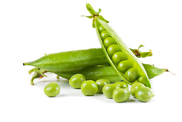 Image showing Ripe pea