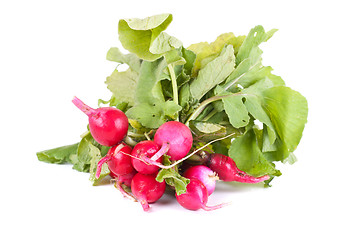 Image showing Fresh radishes