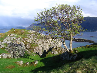 Image showing Flåvær I