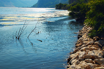 Image showing Danube riverbank