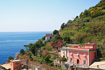 Image showing Italy. Cinque Terre. Village of Riomaggiore