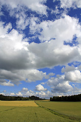 Image showing Clouds over Wheat Fields at Summer