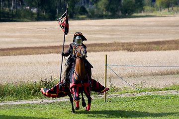 Image showing knight