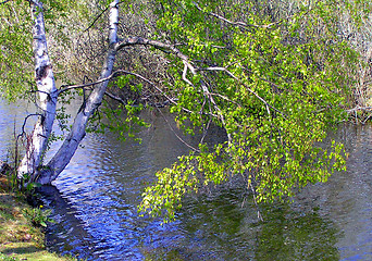 Image showing Lake Østensjø, Oslo