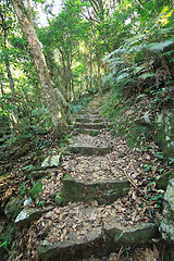 Image showing green path 