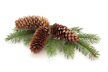 Image showing Pine Cone Decoration