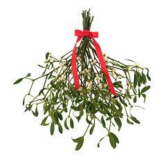 Image showing Mistletoe Magic