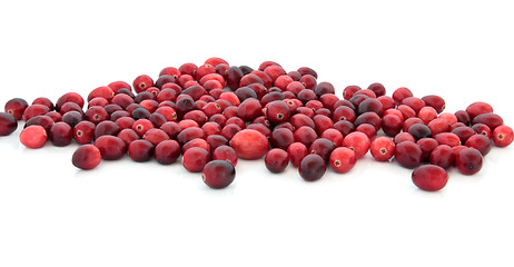 Image showing Cranberry Jewels