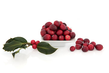 Image showing Cranberry Fruit and Holly