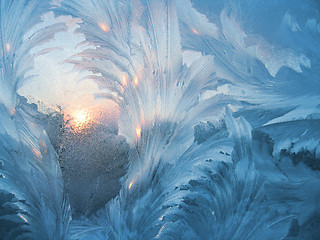 Image showing frost and sun