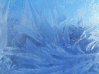 Image showing winter glass