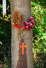 Image showing Religious symbols