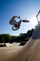 Image showing BMX Bike Stunt bar spin