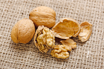 Image showing Walnuts on homespun linen background