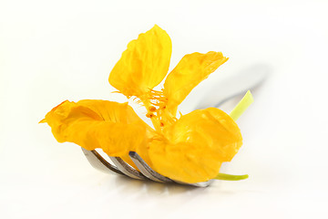 Image showing edible flower