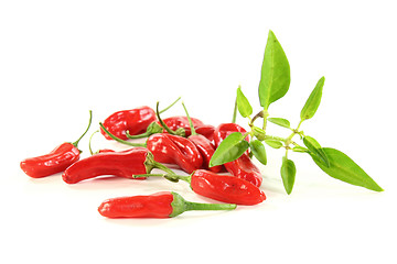 Image showing paprika