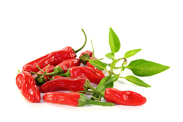 Image showing paprika