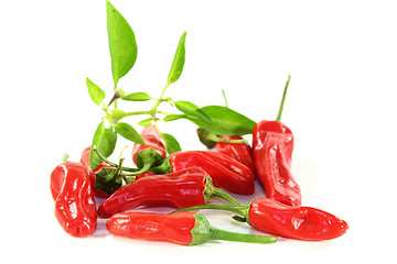 Image showing paprika