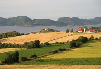 Image showing Norwegian farmland by a fjord