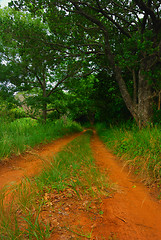 Image showing Dirt road