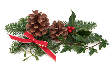 Image showing Christmas Flora and Fauna