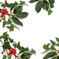 Image showing Holly and Ivy Border