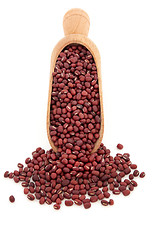 Image showing Aduki Bean Pulses