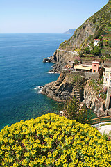 Image showing Italy. Cinque Terre. Village of Riomaggiore