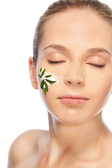 Image showing Green cosmetics