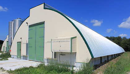 Image showing shed chicken farm