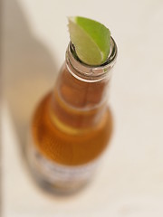 Image showing Cold beer with lime