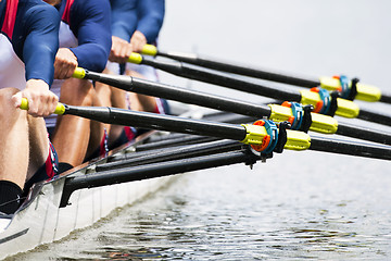 Image showing Close up of men's rowing team