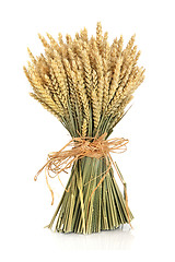 Image showing Wheat Bundle