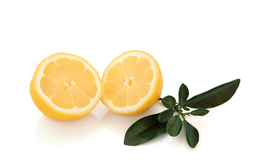 Image showing Lemon Halves