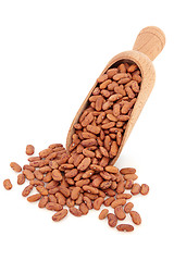 Image showing Pinto Bean Pulses