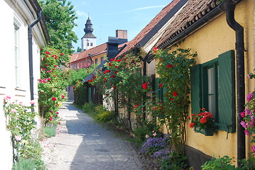 Image showing Flower Street in Gotland, Sweden