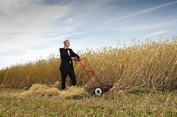 Image showing Businessman and his Lawn mower