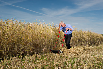 Image showing Businessman and his Lawn mower