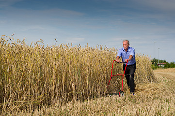 Image showing Businessman and his Lawn mower