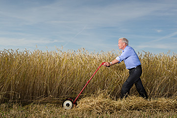 Image showing Businessman and his Lawn mower