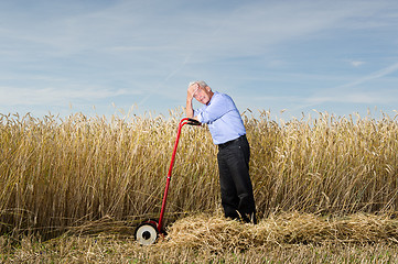 Image showing Businessman and his Lawn mower