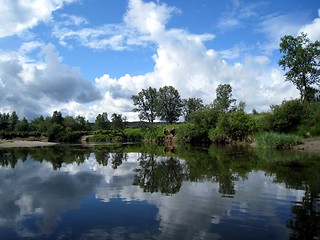 Image showing Reflected trees in a creek