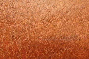 Image showing leather texture