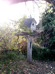 Image showing Bird House