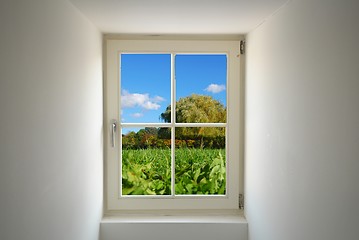 Image showing window and nature