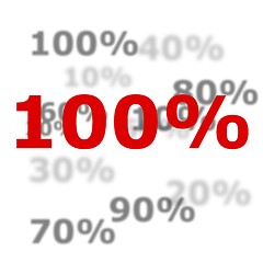 Image showing 100 percent