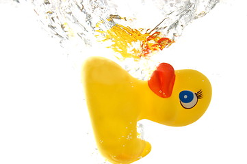 Image showing rubber duck