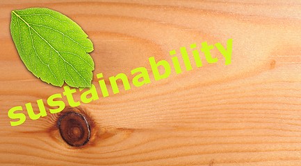 Image showing sustainability