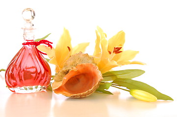 Image showing massage oil