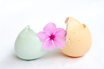 Image showing Broken empty eggshells